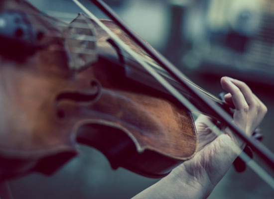 Violine - Music Live Musikschule